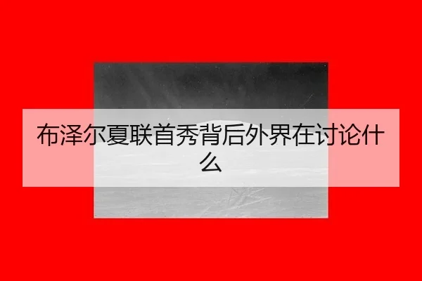 布泽尔夏联首秀背后外界在讨论什么